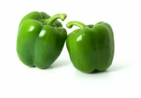 تصویر 1 از فلفل دلمه سبز کیفیت ممتاز